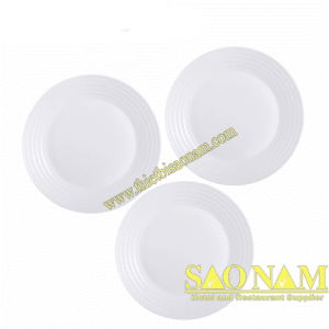 ĐĨA TT LUMINARC HARENA