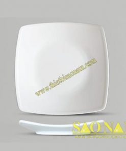 Dĩa Hình Vuông SQB10100-SQB6100