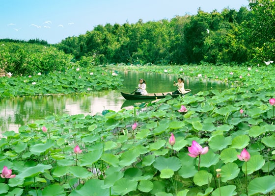 Phân phối bục phát biểu giá rẻ tại Đồng Tháp