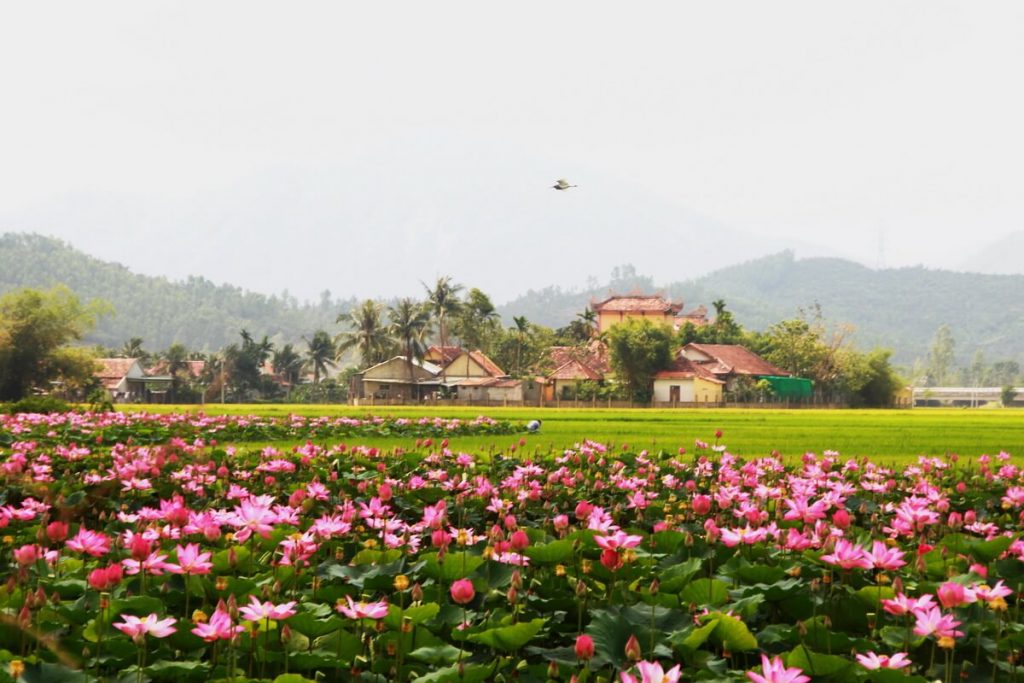 Phân phối bếp chiên nhúng giá rẻ tại Đồng Tháp