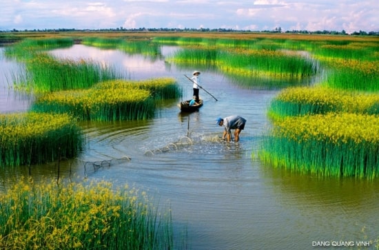 Nơi bán xe đẩy phục vụ nhà hàng giá rẻ tại Cà Mau