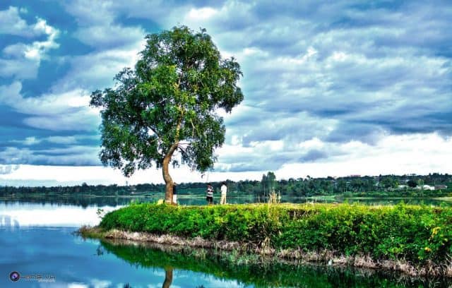 Nơi bán Bảng Thông Tin Chỉ Dẫn giá rẻ tại Gia Lai